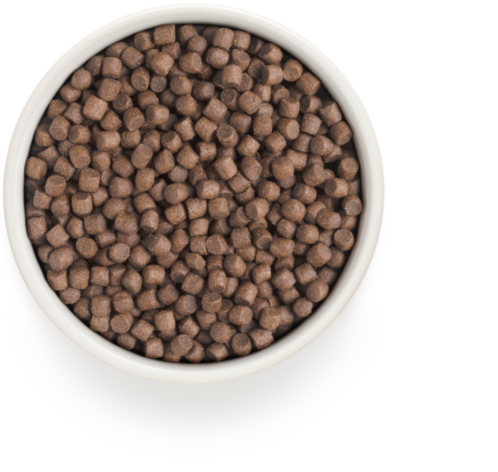 Grandorf Fresh Adult Mini Xira Trofi Skulou me Freskia Papia kai Gukopatata 3kg